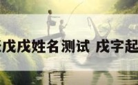 张戊戌姓名测试 戌字起名