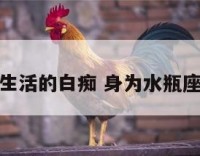 水瓶座生活的白痴 身为水瓶座的悲哀