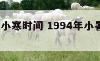 1994年小寒时间 1994年小暑几点几分
