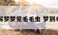 周公解梦梦见毛毛虫 梦到毛毛虫