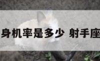 射手座的单身机率是多少 射手座单身的原因