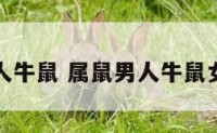 属鼠男人牛鼠 属鼠男人牛鼠女人好吗