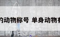 单身的动物称号 单身动物有哪些