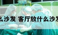 客厅放什么沙发 客厅放什么沙发比较高档