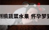 孕妇梦到摘蔬菜水果 怀孕梦到摘蔬菜