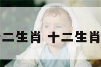 开店十二生肖 十二生肖专卖店