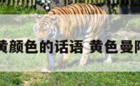 曼陀罗黄颜色的话语 黄色曼陀罗毒性
