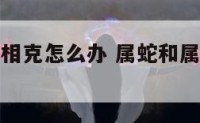 属蛇和属猪相克怎么办 属蛇和属猪的相克吗?