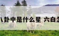 六白在八卦中是什么星 六白怎么化解