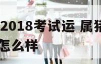 属猪天蝎座2018考试运 属猪的天蝎座2020年运势怎么样