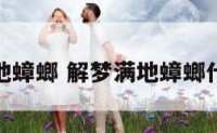 解梦满地蟑螂 解梦满地蟑螂什么意思