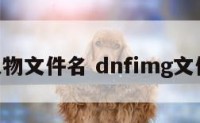 dnf人物文件名 dnfimg文件在哪
