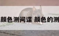 用颜色测间谍 颜色的测试