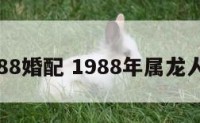 属龙1988婚配 1988年属龙人婚姻配