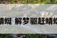 解梦驱赶蜻蜓 解梦驱赶蜻蜓是啥意思
