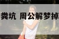周公解梦掉进粪坑 周公解梦掉进粪坑里救人成功了
