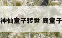 真神仙童子转世 真童子吧