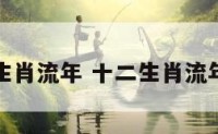 十二生肖流年 十二生肖流年运势