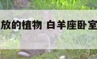 白羊座卧室放的植物 白羊座卧室放的植物图片