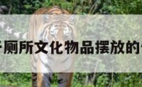 关于厕所文化物品摆放的信息