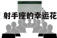 幸运花射手座 射手座的幸运花和幸运色是什么