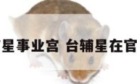 台辅星事业宫 台辅星在官禄宫