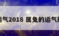 属兔的运气2018 属兔的运气就没好过