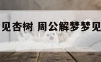 周公解梦梦见杏树 周公解梦梦见杏树上结满了杏子