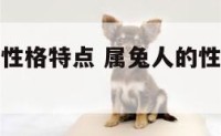 属兔的人的性格特点 属兔人的性格特点和优缺点是什么