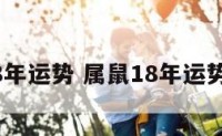 鼠2018年运势 属鼠18年运势怎么样