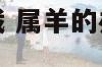 属羊人办公室盆栽 属羊的办公室放什么植物风水好