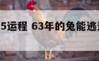 属兔2025运程 63年的兔能逃过今年的灾难吗