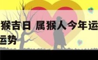 2019属猴吉日 属猴人今年运势2019年每月运势