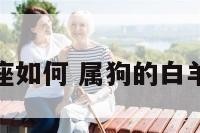 属狗的白羊座如何 属狗的白羊座女生爱情