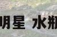 出轨的水瓶座明星 水瓶座出轨怎么办