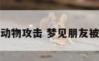 梦见朋友被动物攻击 梦见朋友被动物攻击了