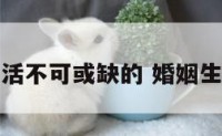 婚姻生活不可或缺的 婚姻生活不幸