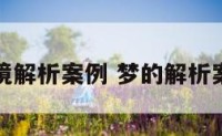 梦境解析案例 梦的解析案例