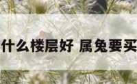 属兔的买什么楼层好 属兔要买什么楼层