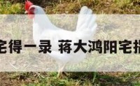 蒋大鸿阳宅得一录 蒋大鸿阳宅指南白话文