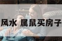 属鼠的买楼房风水 属鼠买房子几楼最好风水