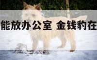 金钱豹摆件能放办公室 金钱豹在办公桌上怎么摆放