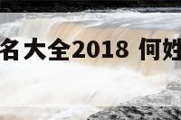 何姓宝宝起名大全2018 何姓宝宝取名字大全2021