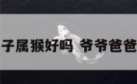 爷爷爸爸儿子属猴好吗 爷爷爸爸儿子都属虎
