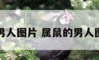属鼠的男人图片 属鼠的男人图片高清
