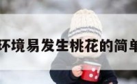 工作环境易发生桃花的简单介绍