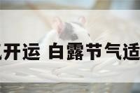白露节气开运 白露节气适合开业吗