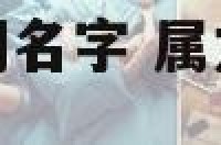 属龙属虎选用公司名字 属龙的人公司起名宜用字大全