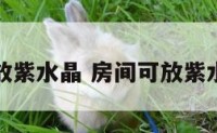 卧室东方放紫水晶 房间可放紫水晶摆件吗