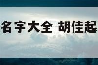 胡佳起名男孩名字大全 胡佳起名男孩名字大全集